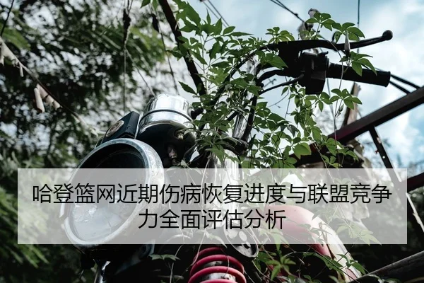 哈登篮网近期伤病恢复进度与联盟竞争力全面评估分析 - LEYU SPORTS